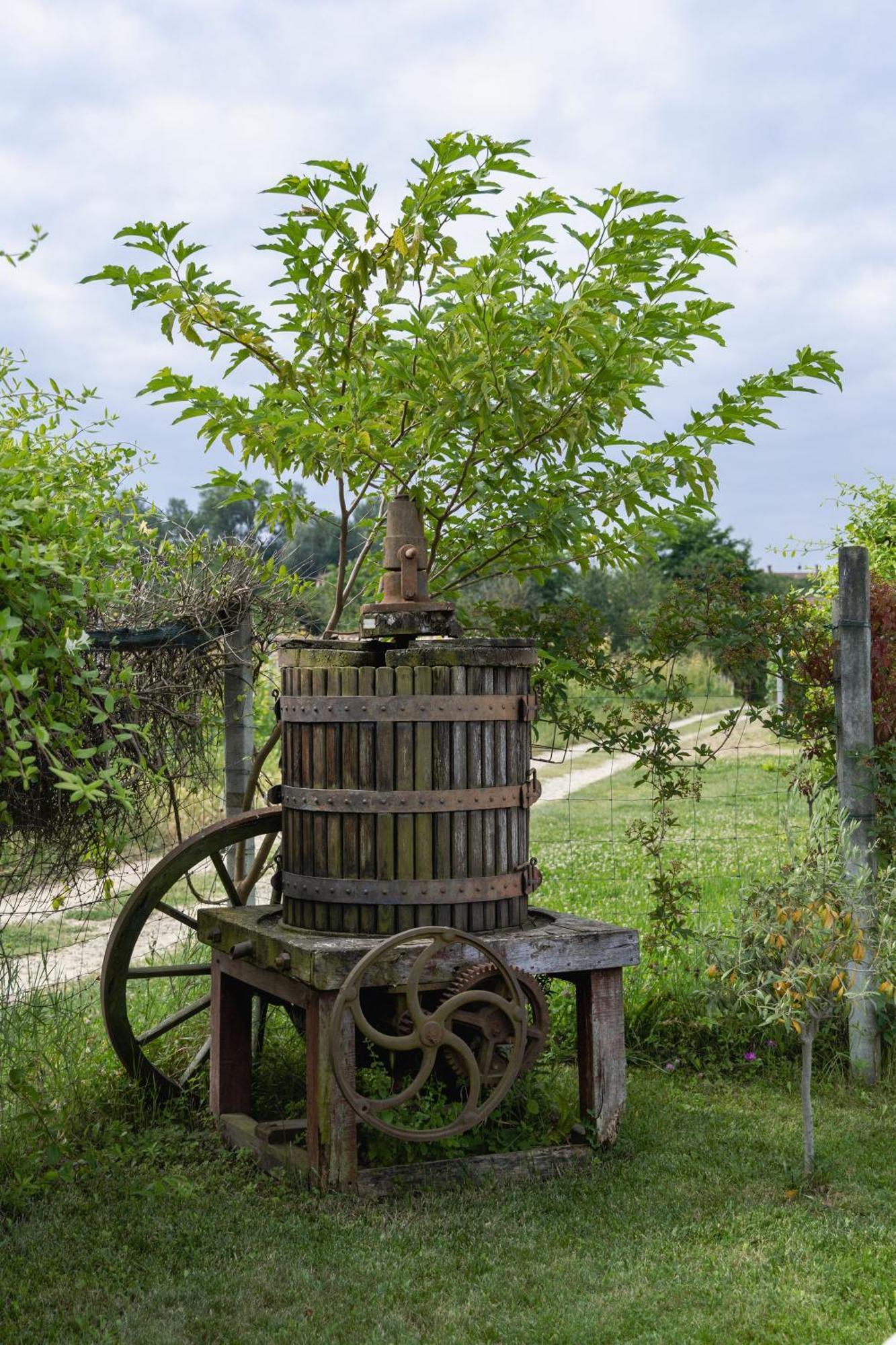 La Cantinella Country House Ла Мора Екстериор снимка